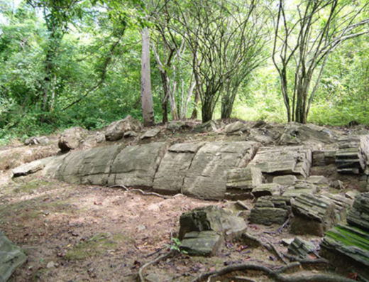 Bosque Petrificado Puyango “Naturaleza Paleontológica”