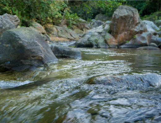 Cascada El Blanco y Reserva Ecológica Arenillas
