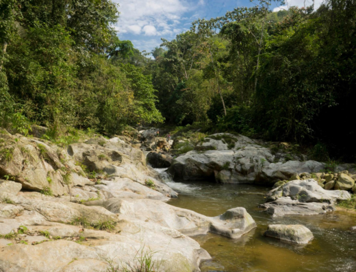Cascada El Blanco y Reserva Ecológica Arenillas