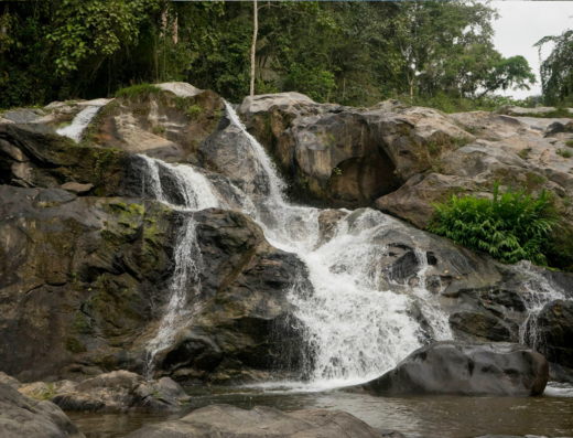 Cascada El Blanco y Reserva Ecológica Arenillas