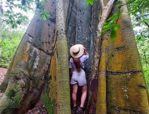 Finca Happy Fruit y Hillary Resort