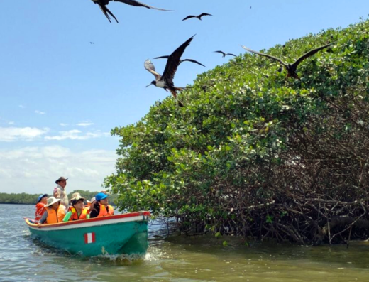 Manglares y Ecoturismo en Huaquillas