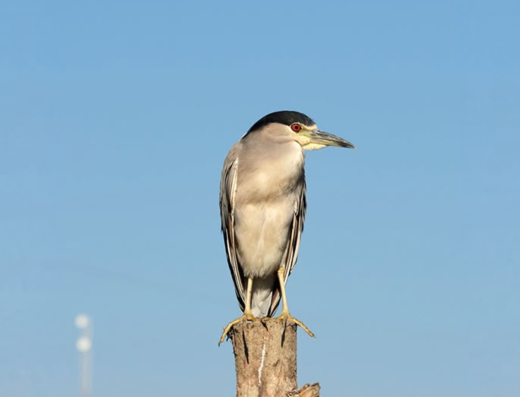 Reserva Ecológica Arenillas