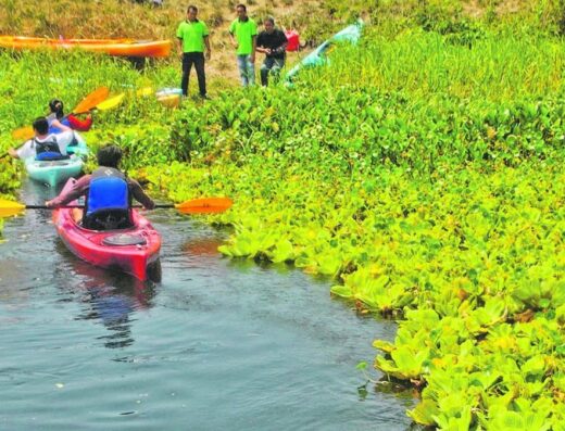 Humedal La Tembladera y Manglares de Puerto Jelí